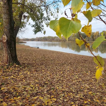 De Bloementuin / A Viragoskert * Tiszafüred