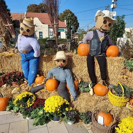 De Bloementuin / A Virágoskert Apartman