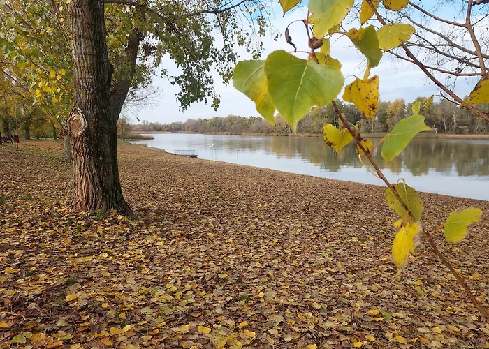 De Bloementuin / A Viragoskert * Tiszafüred