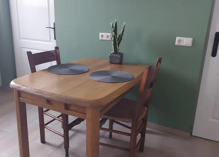 De Bloementuin / A Viragoskert Tiszafüred