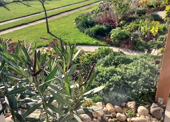 Lägenhet De Bloementuin / A Viragoskert Tiszafüred